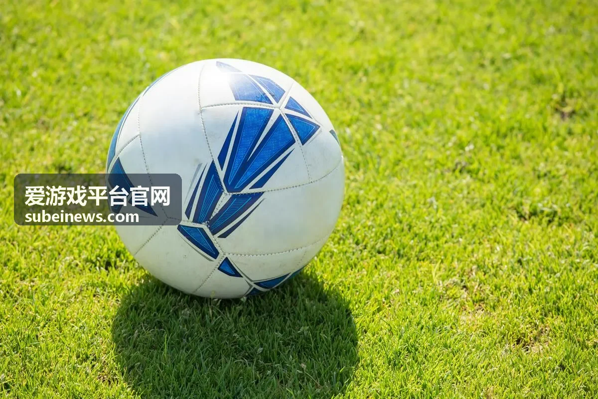 爱游戏平台官网安装包选择与校验说明